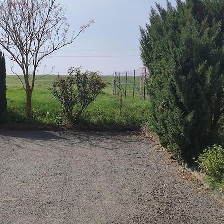 Gite La Metairie, Au Calme A La Campagne Villa Saint-Seurin-de-Palenne Exterior foto